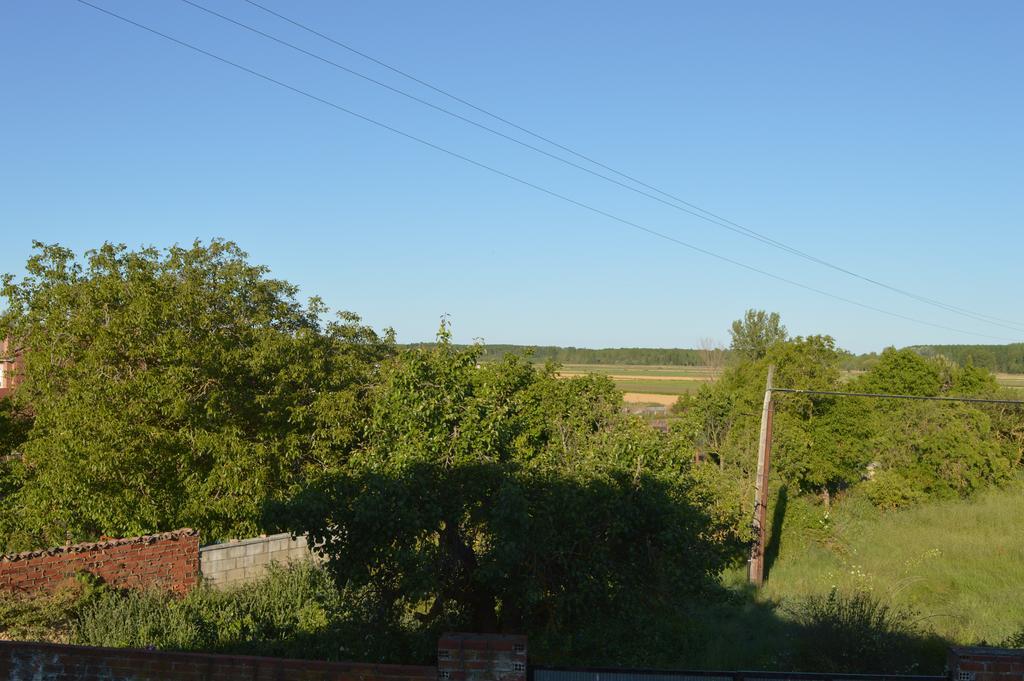 Casa Rural Los Llaganos Konuk evi Villaturiel Dış mekan fotoğraf