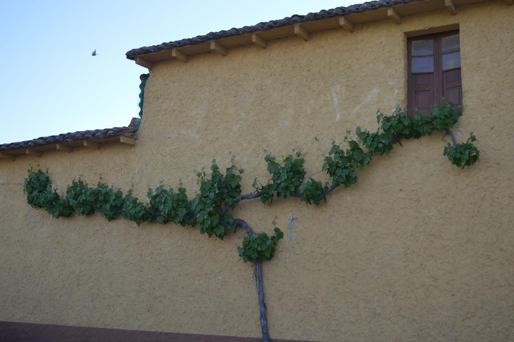 Casa Rural Los Llaganos Villaturiel Dış mekan fotoğraf